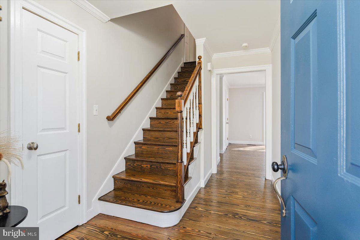 113 Cleremont Dr