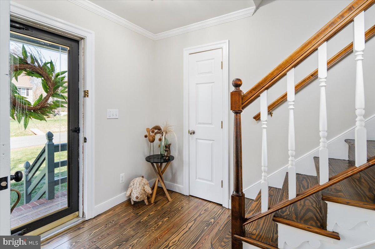 113 Cleremont Dr