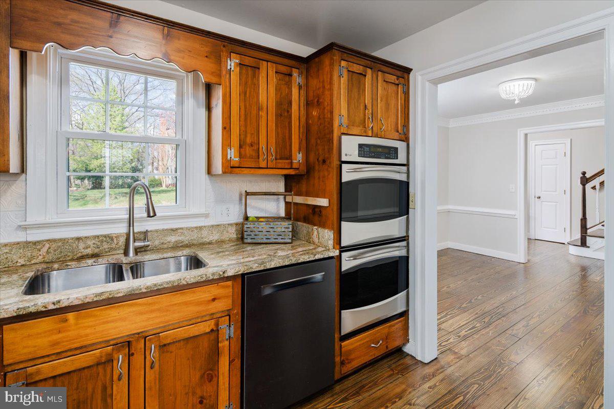 113 Cleremont Dr