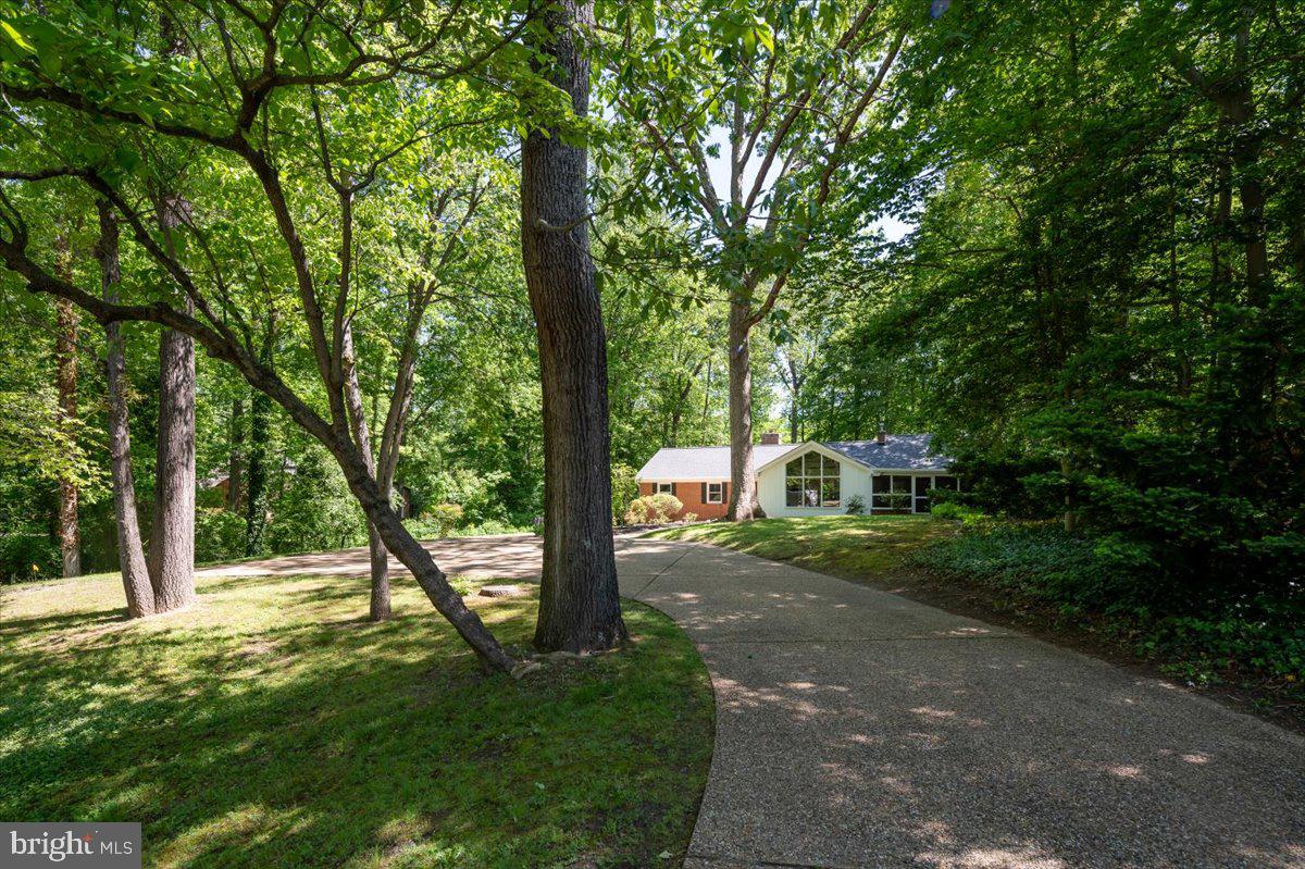 117 Lake Shore Dr