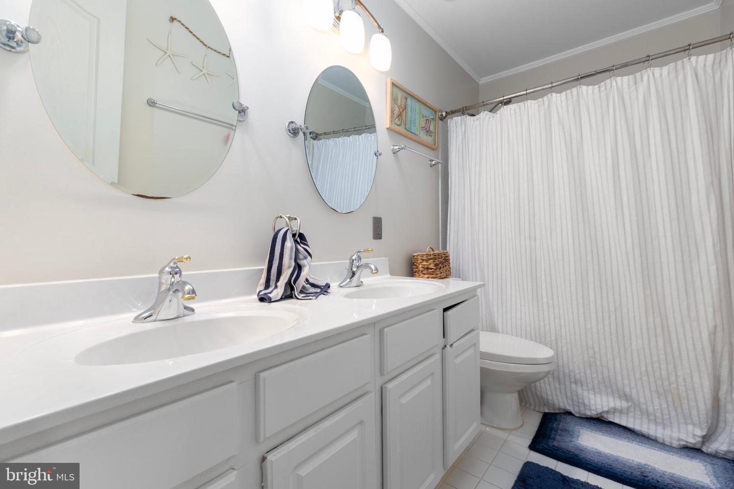 3 Cattail Ct