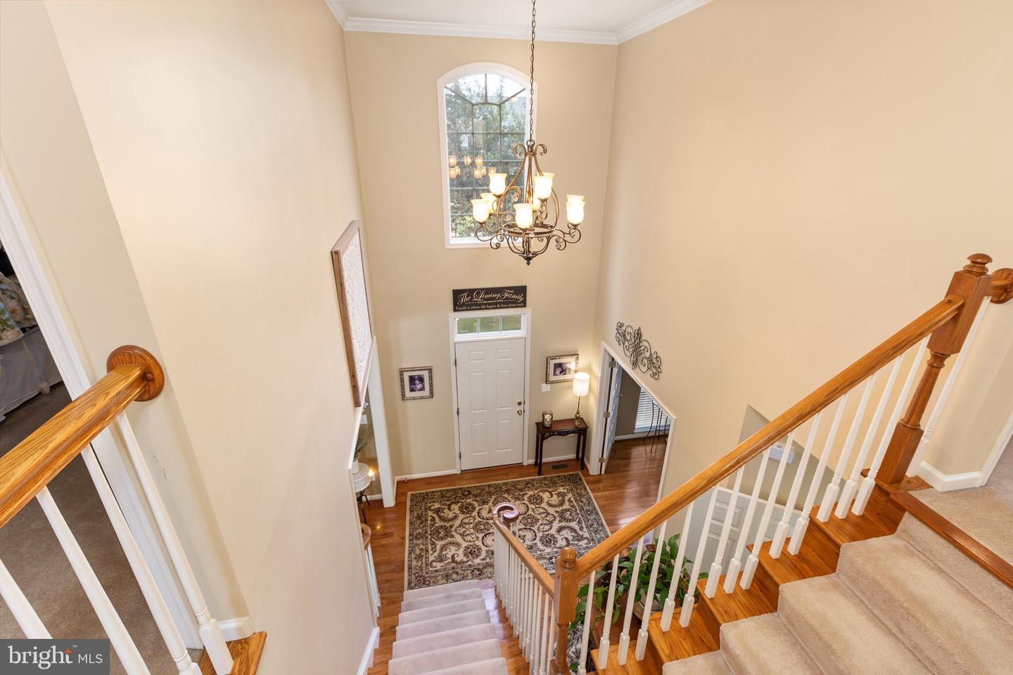 26 Bruce St