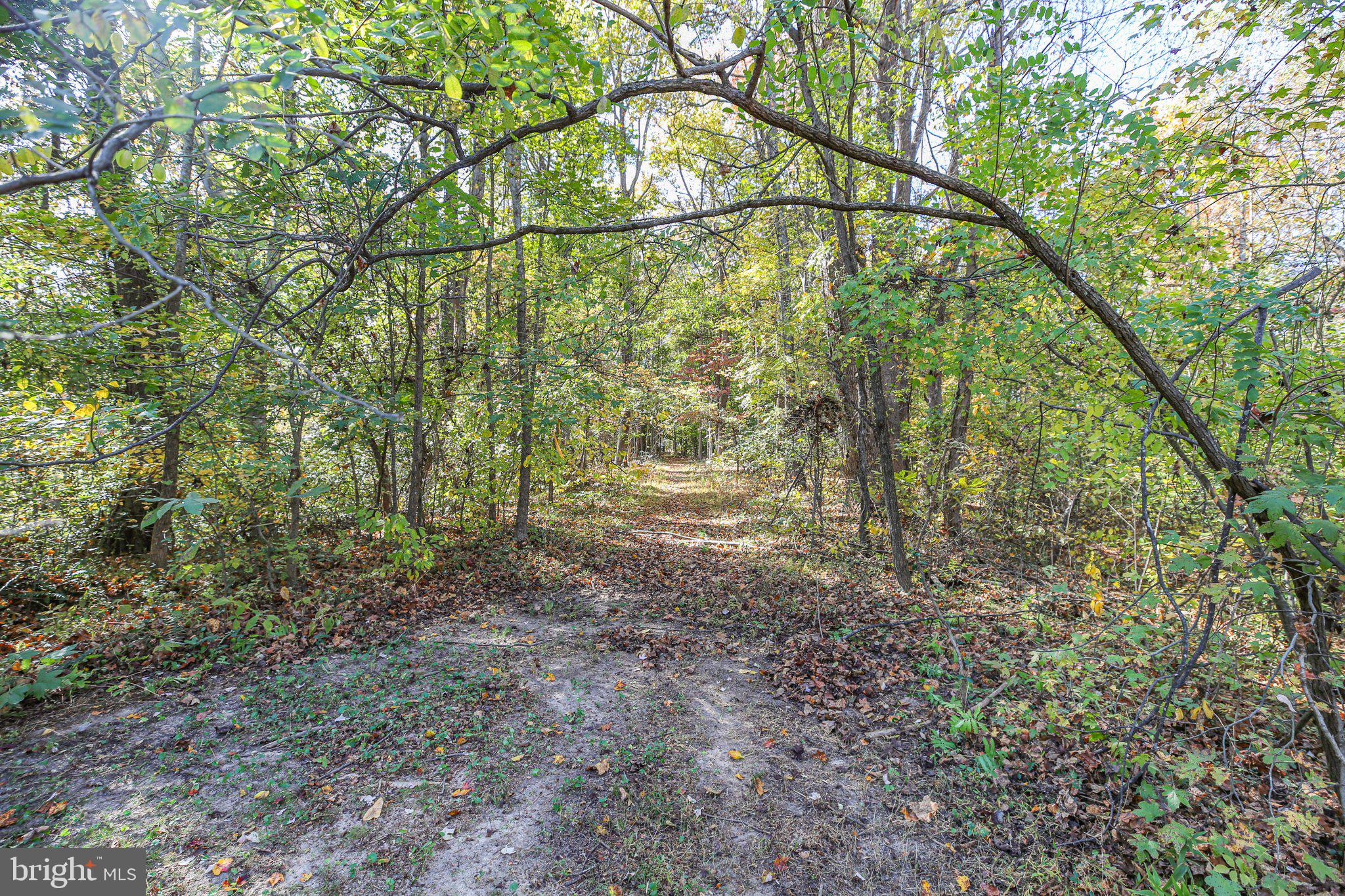 48 Old Creekside Rd
