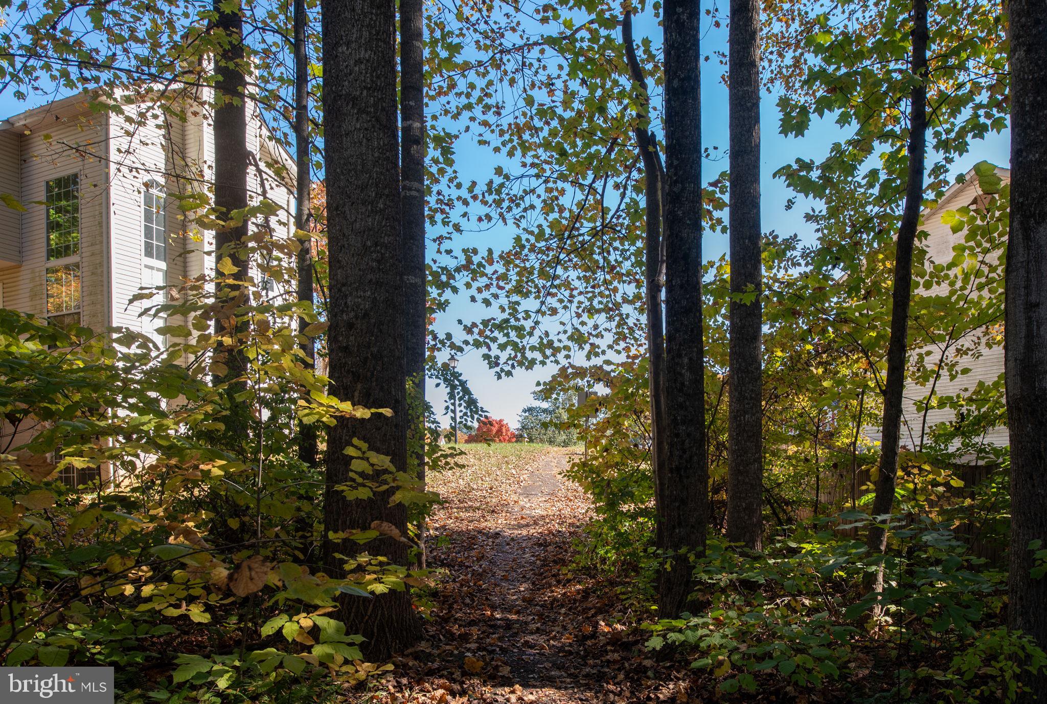 49 Tanterra Dr