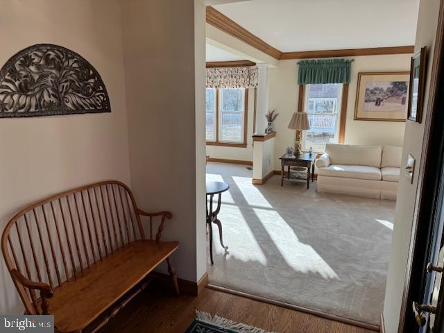 22 RIDGE POINTE LANE