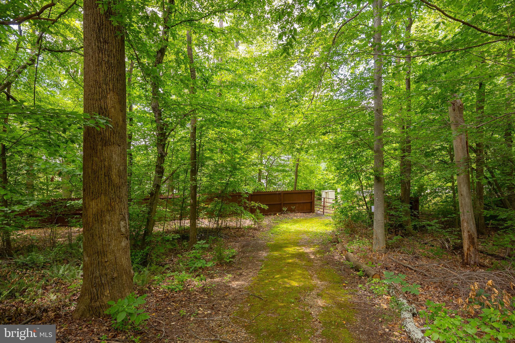 10 River Farm