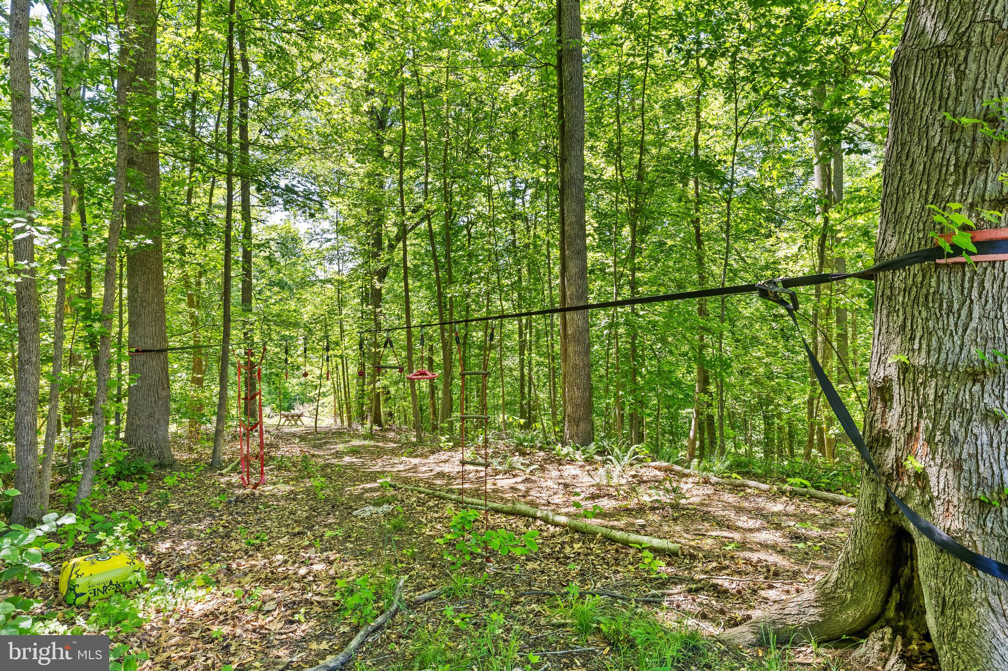 2225 CAMP GEARY LANE