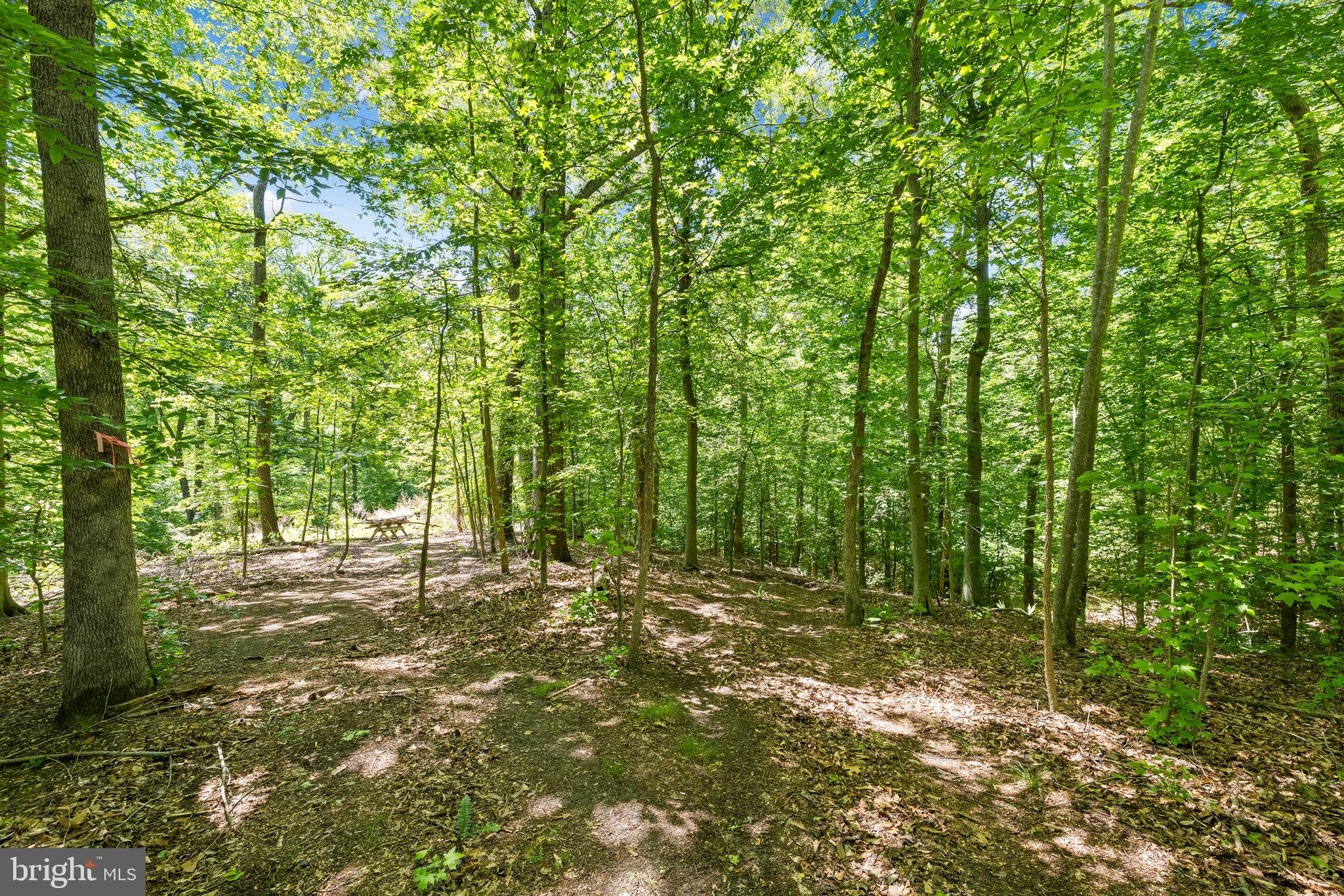 2225 CAMP GEARY LANE