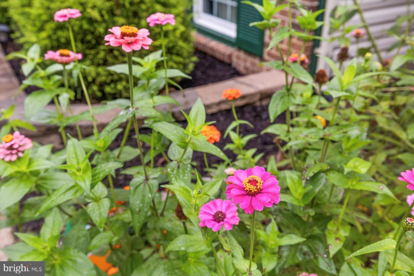 621 HOLLY CORNER ROAD