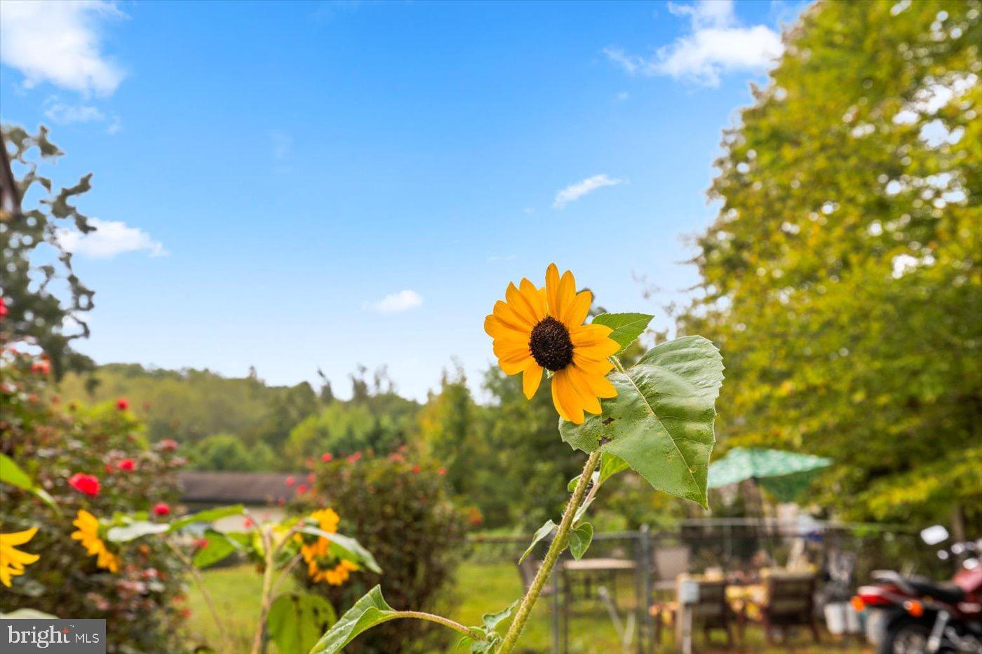 621 HOLLY CORNER ROAD