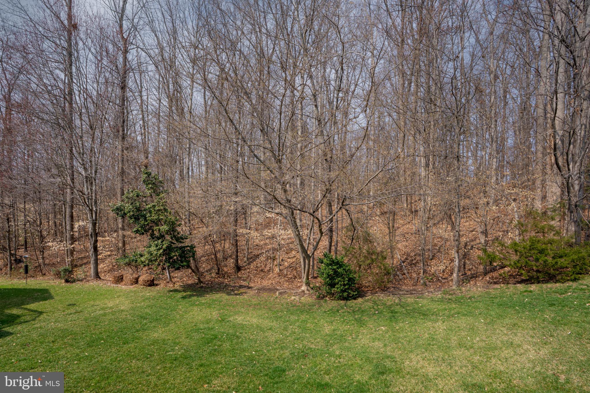 6 DAYTON CIRCLE