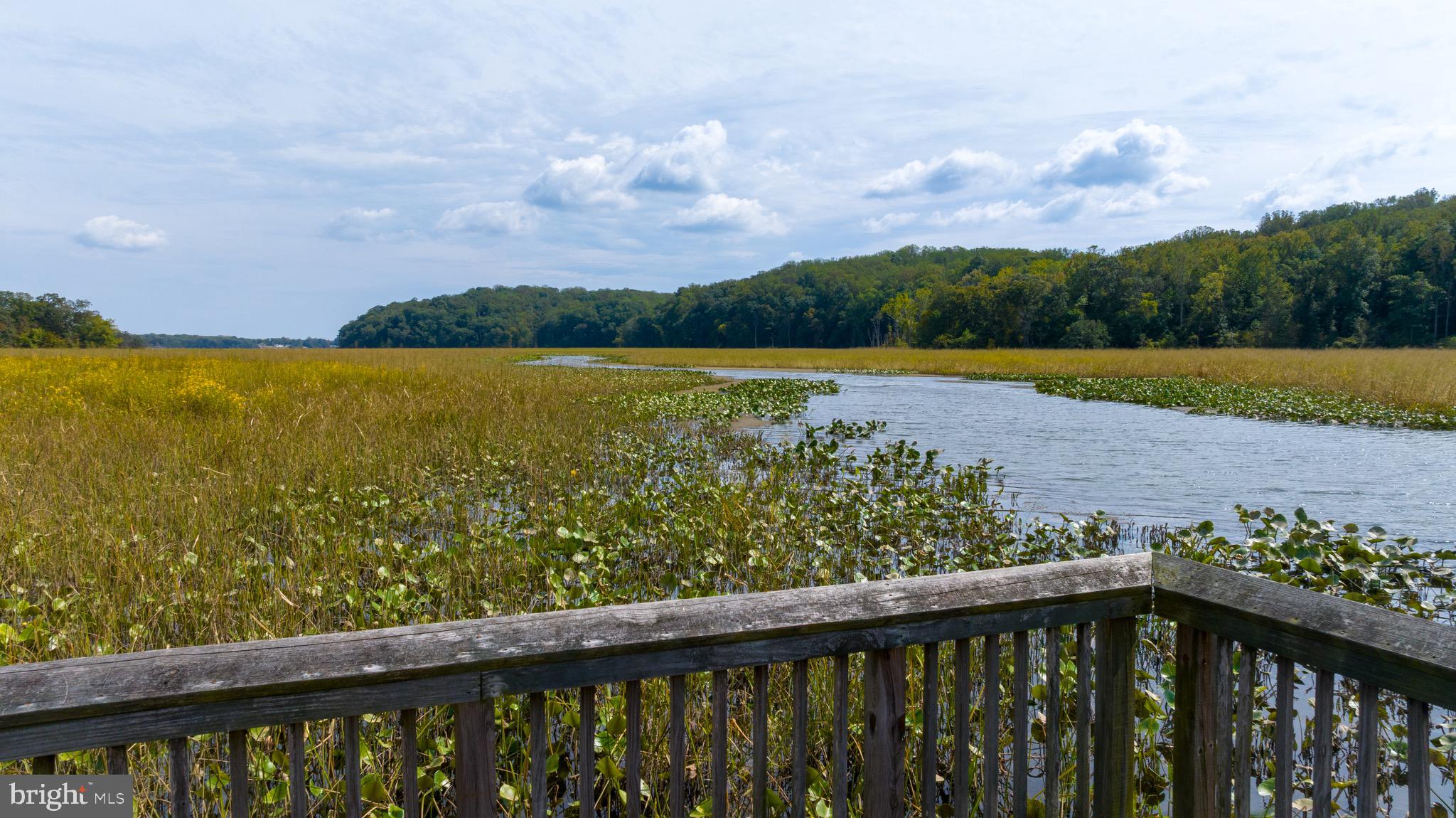 2225 CAMP GEARY LANE