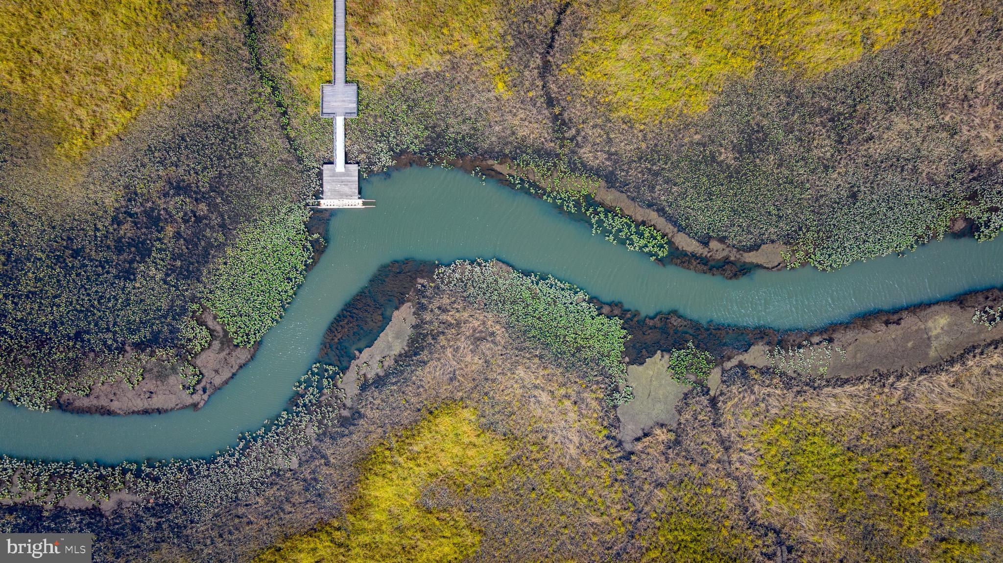 2225 CAMP GEARY LANE