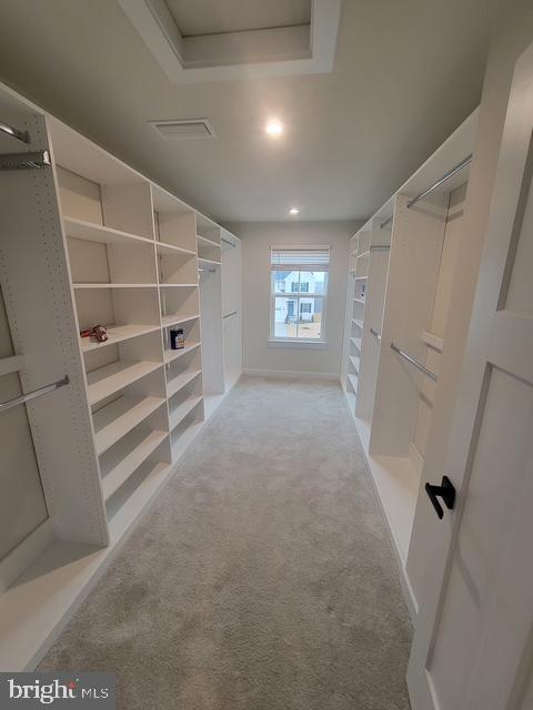409 VANDEGRIFT ROAD