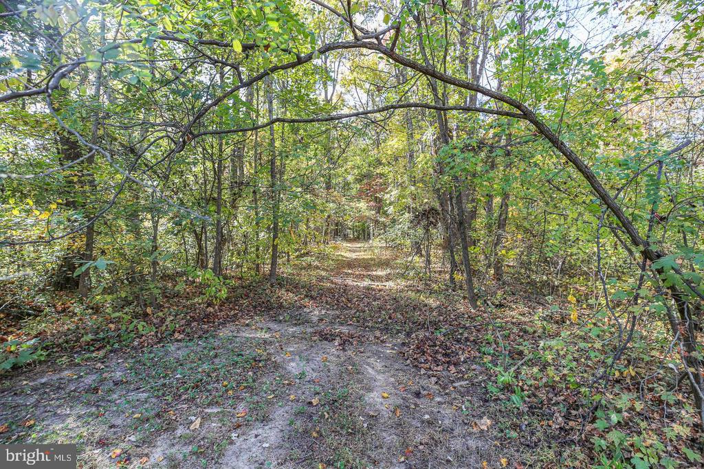 48 OLD CREEKSIDE ROAD