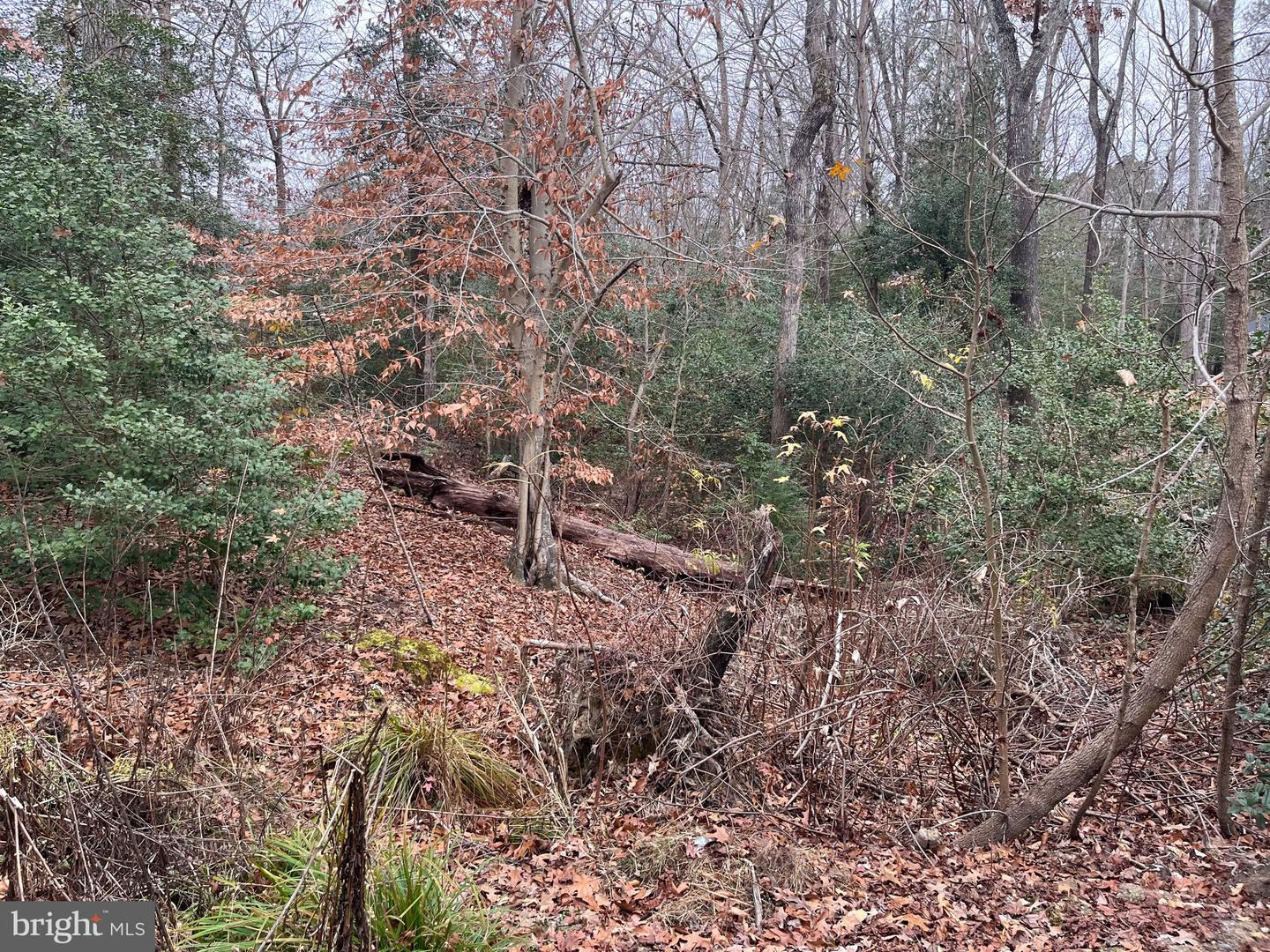 32 Placid Rd