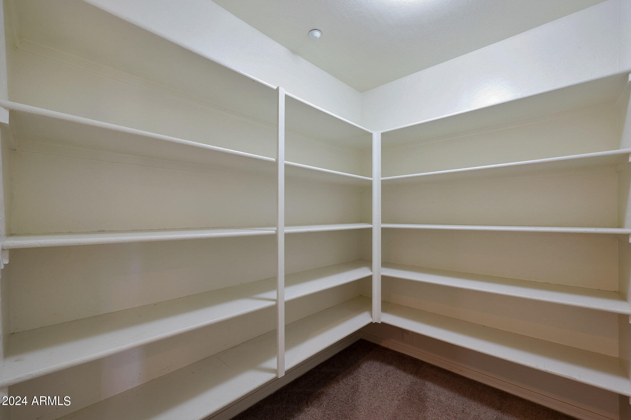 33550 N DOVE LAKES Drive, 1007