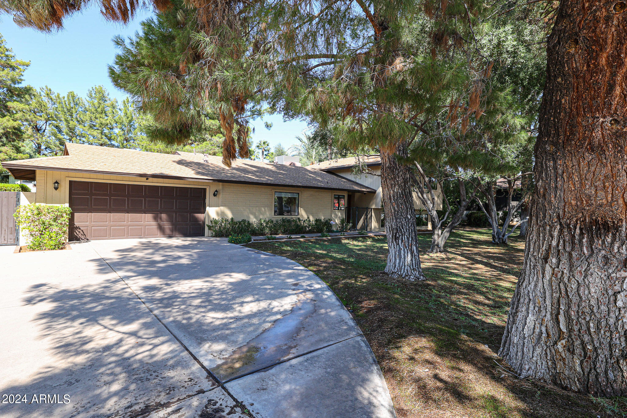 5336 E CACTUS Road