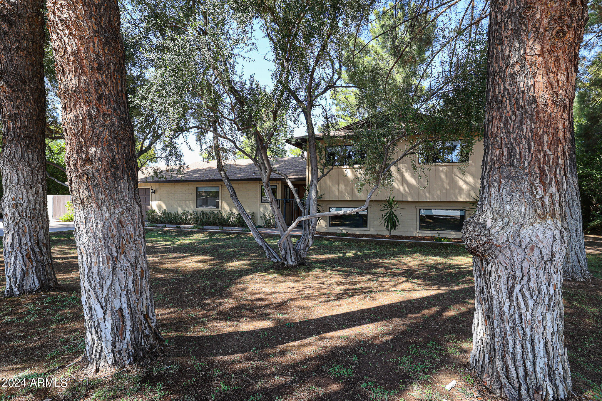 5336 E CACTUS Road
