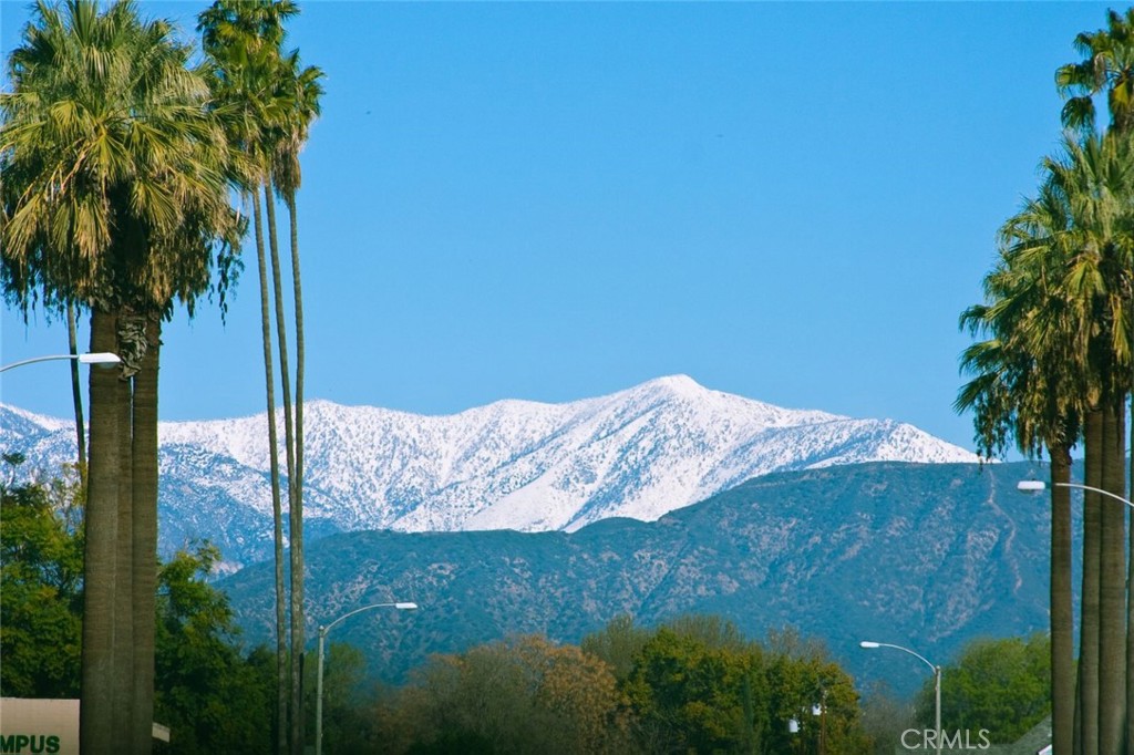 101 W Mission Boulevard 305