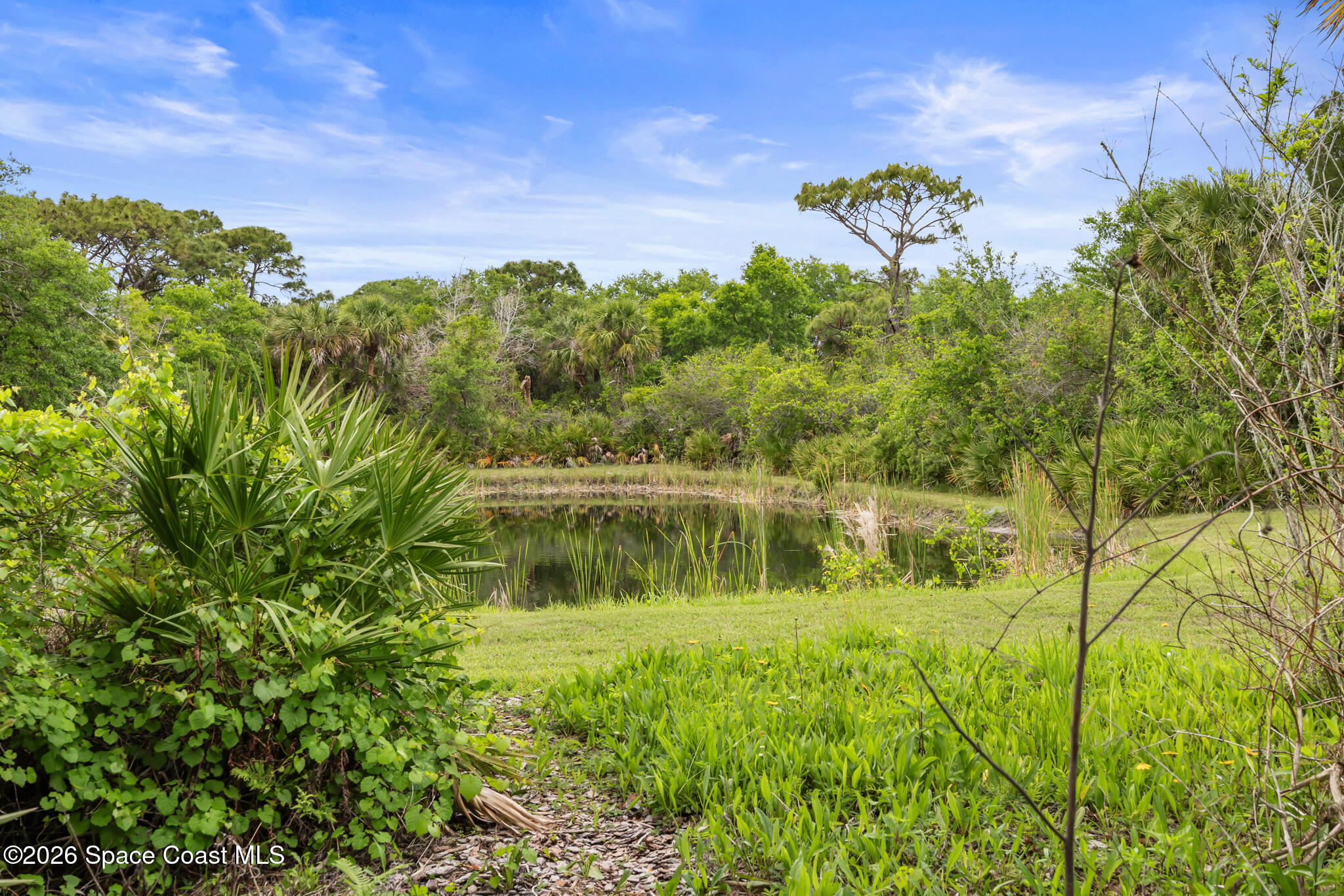Wooded property with a small pond, grassy clearing, and dense Florida palms.