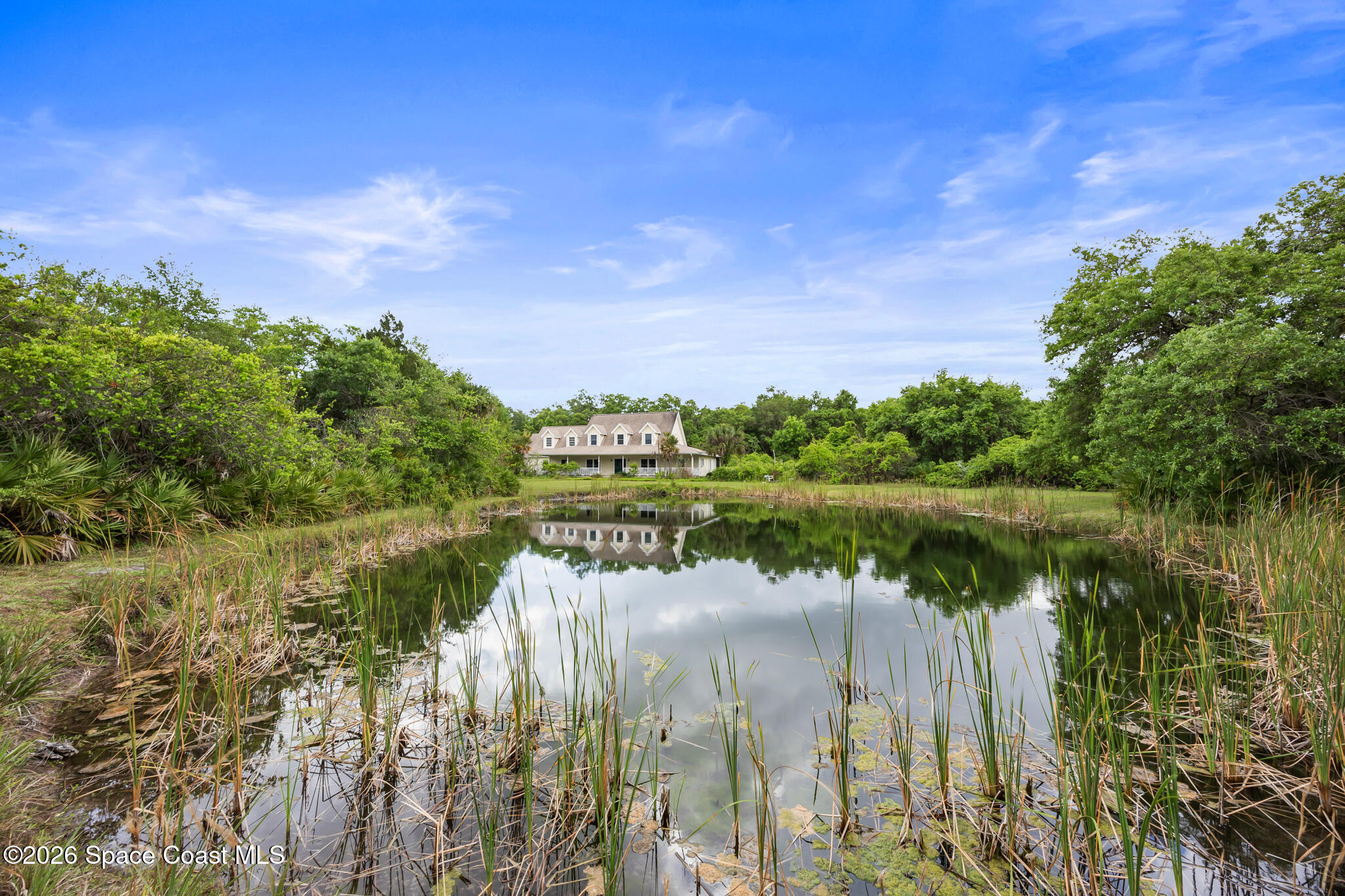 Home reflected in a pond, framed by shoreline reeds and dense trees.