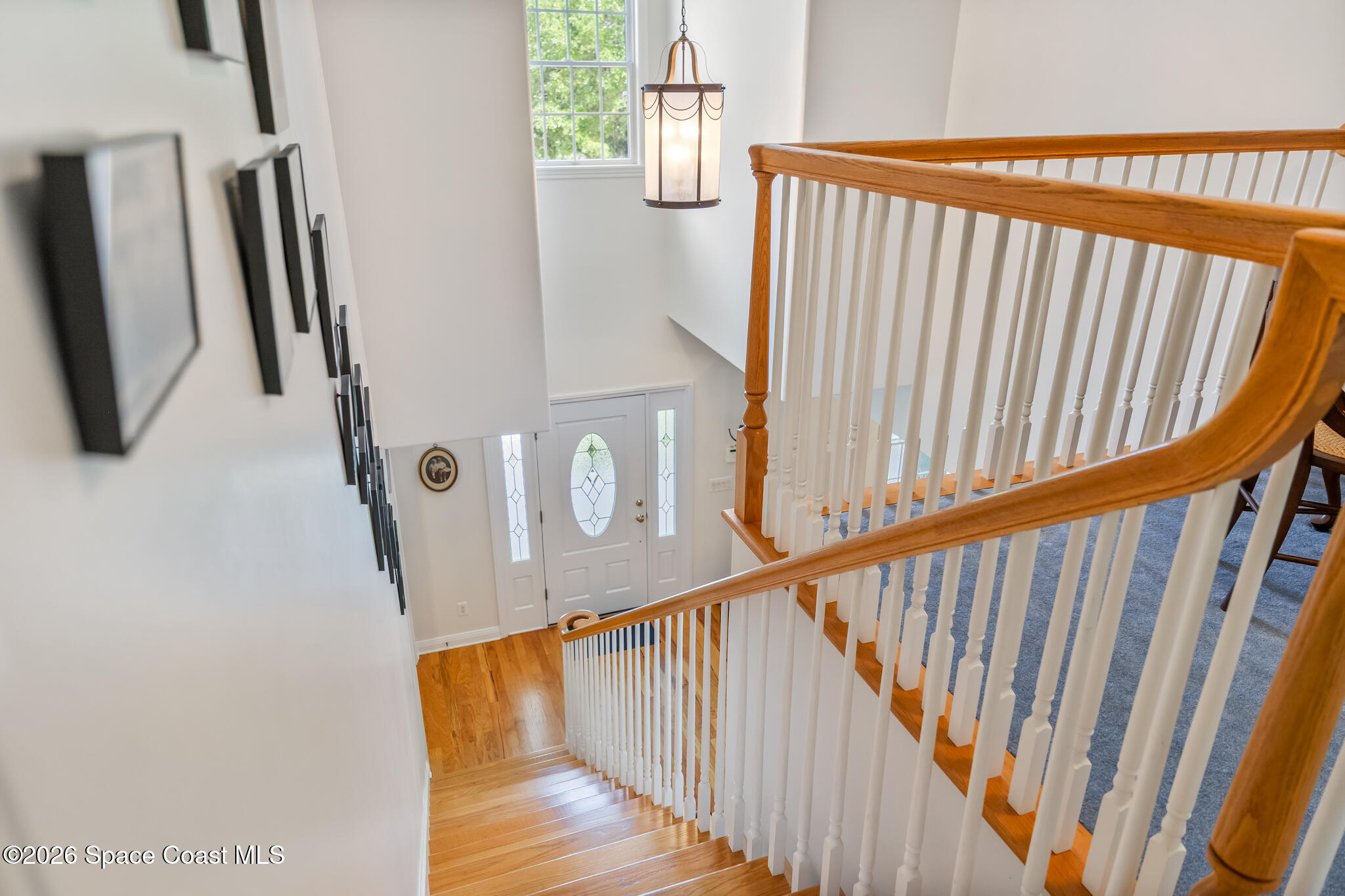 Curved staircase overlooks the foyer, with polished wood rails, white balusters, and a glass-paneled front door.