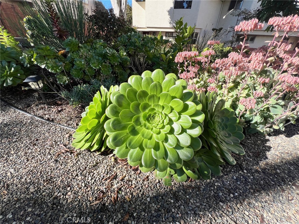 660 Napa Avenue Unit: 4