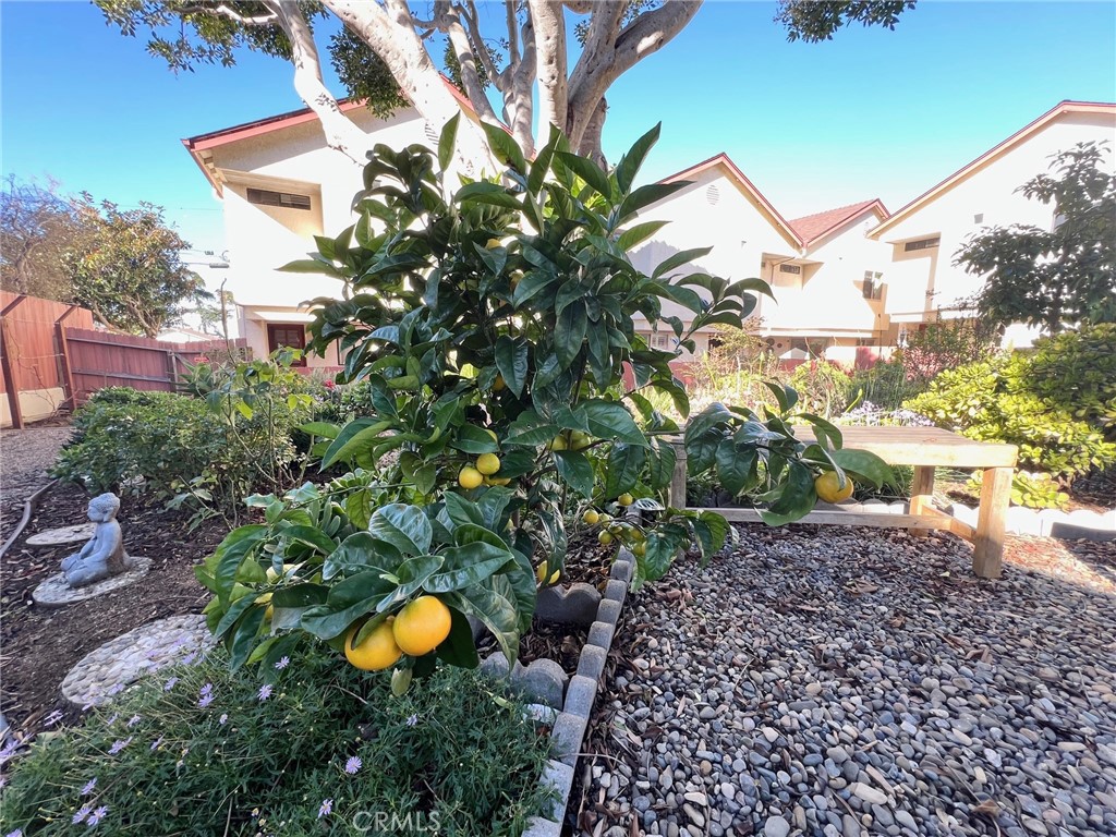 660 Napa Avenue Unit: 4