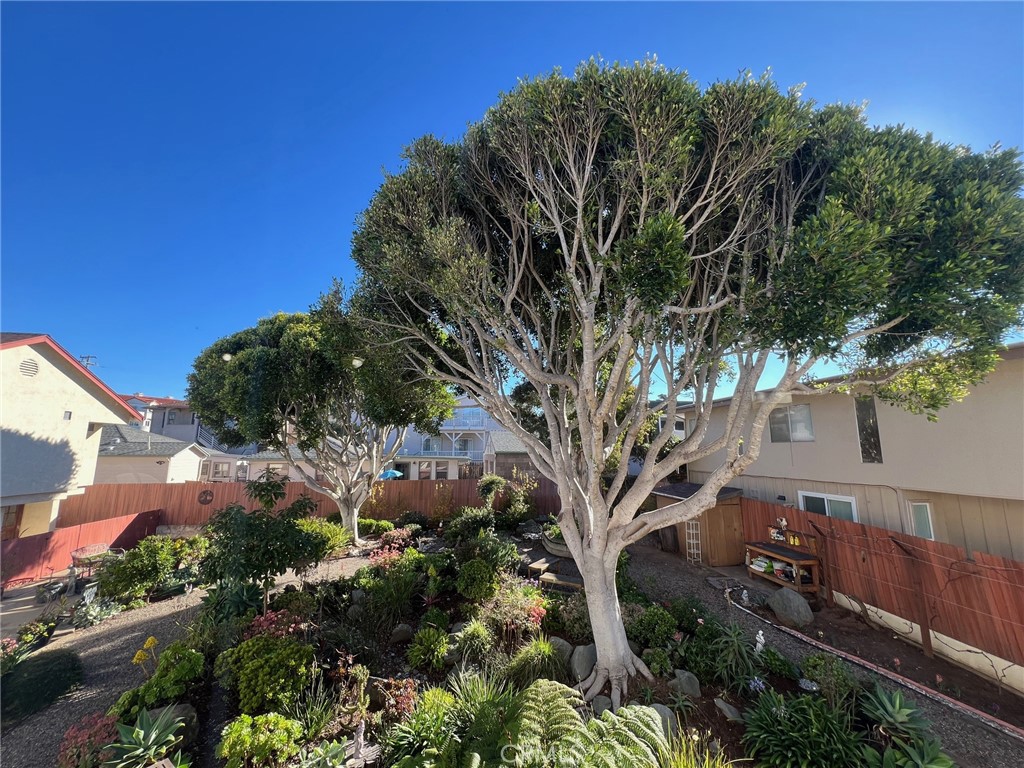 660 Napa Avenue Unit: 4