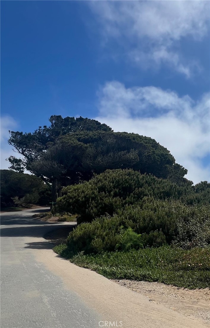 513 Santa Ysabel Avenue