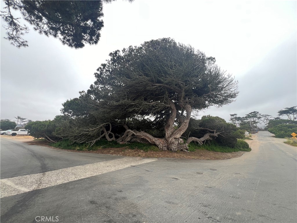 513 Santa Ysabel Avenue