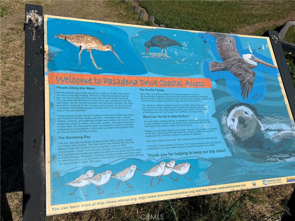 513 Santa Ysabel Avenue