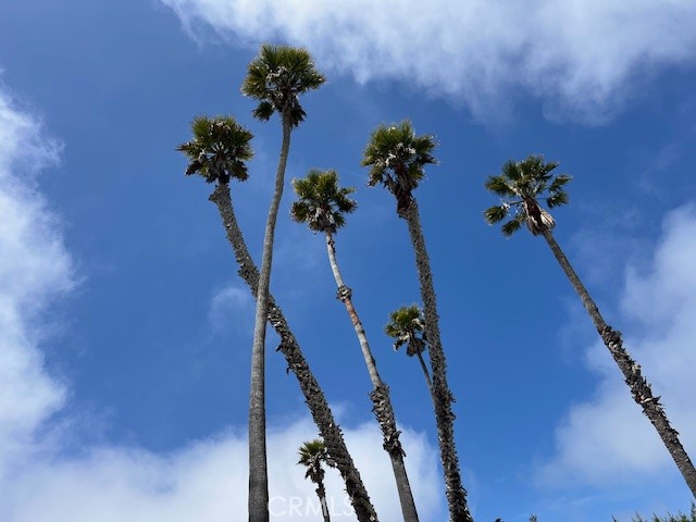 901 Morro Bay Boulevard 2