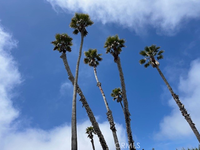 901 Morro Bay Boulevard 2