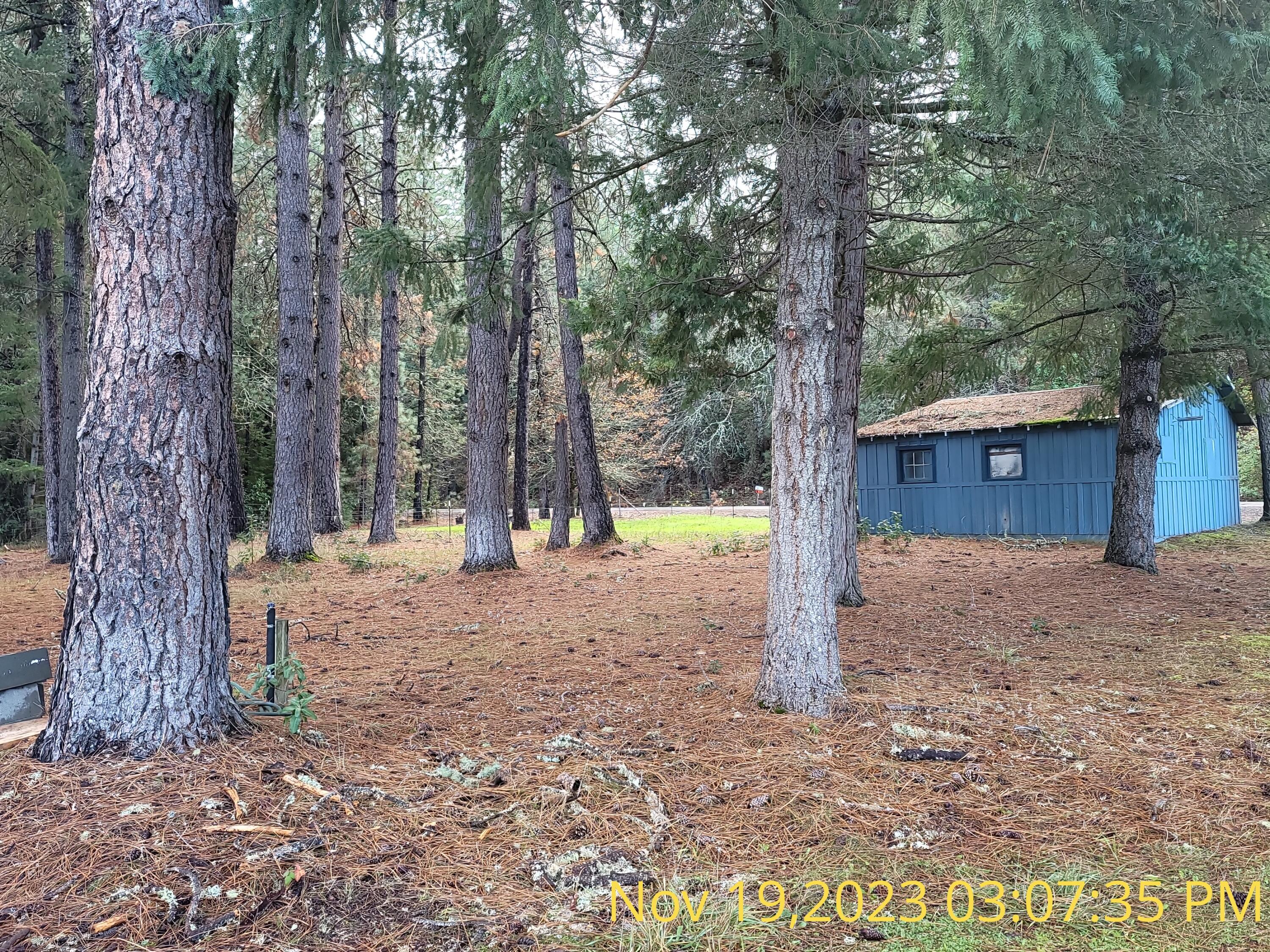 7593 Redwood Highway