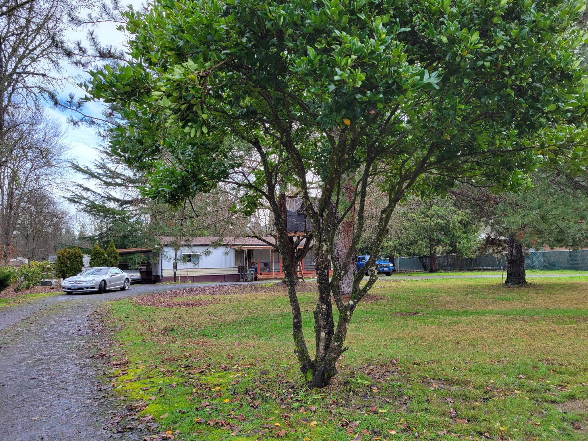 185 Peckerwood Lane