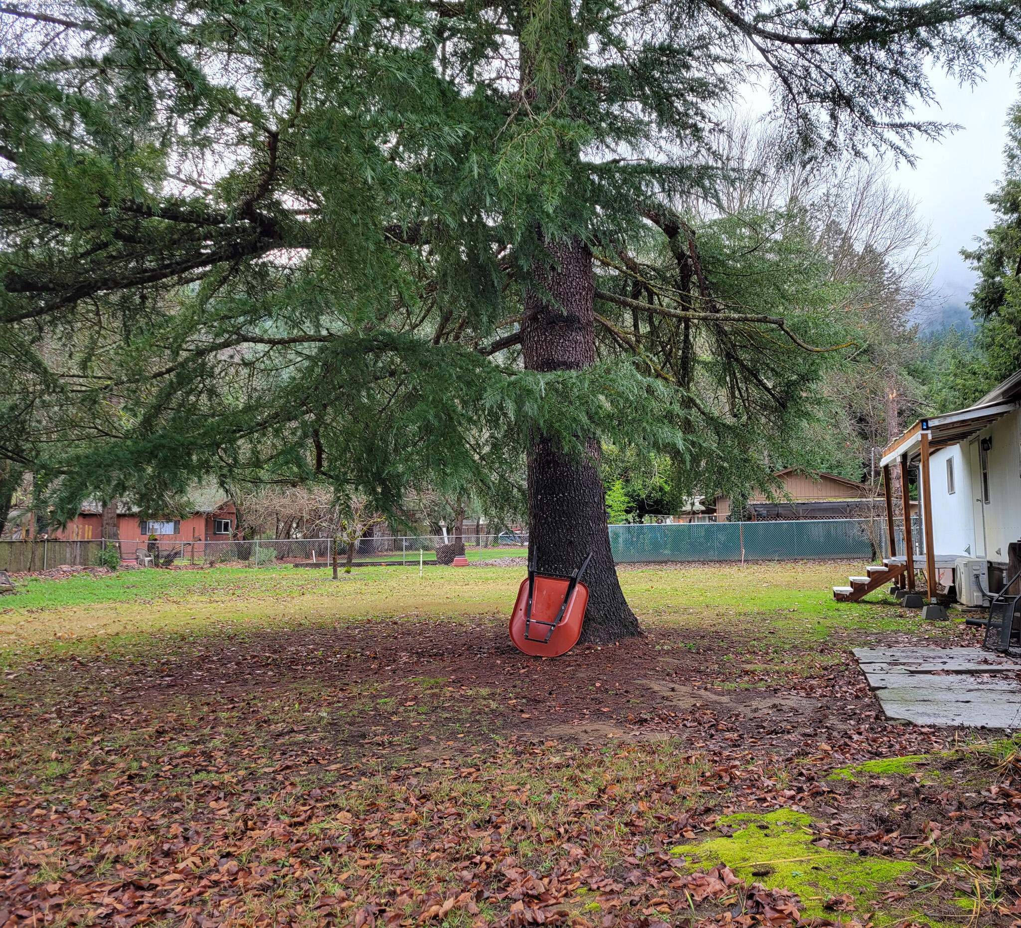 185 Peckerwood Lane