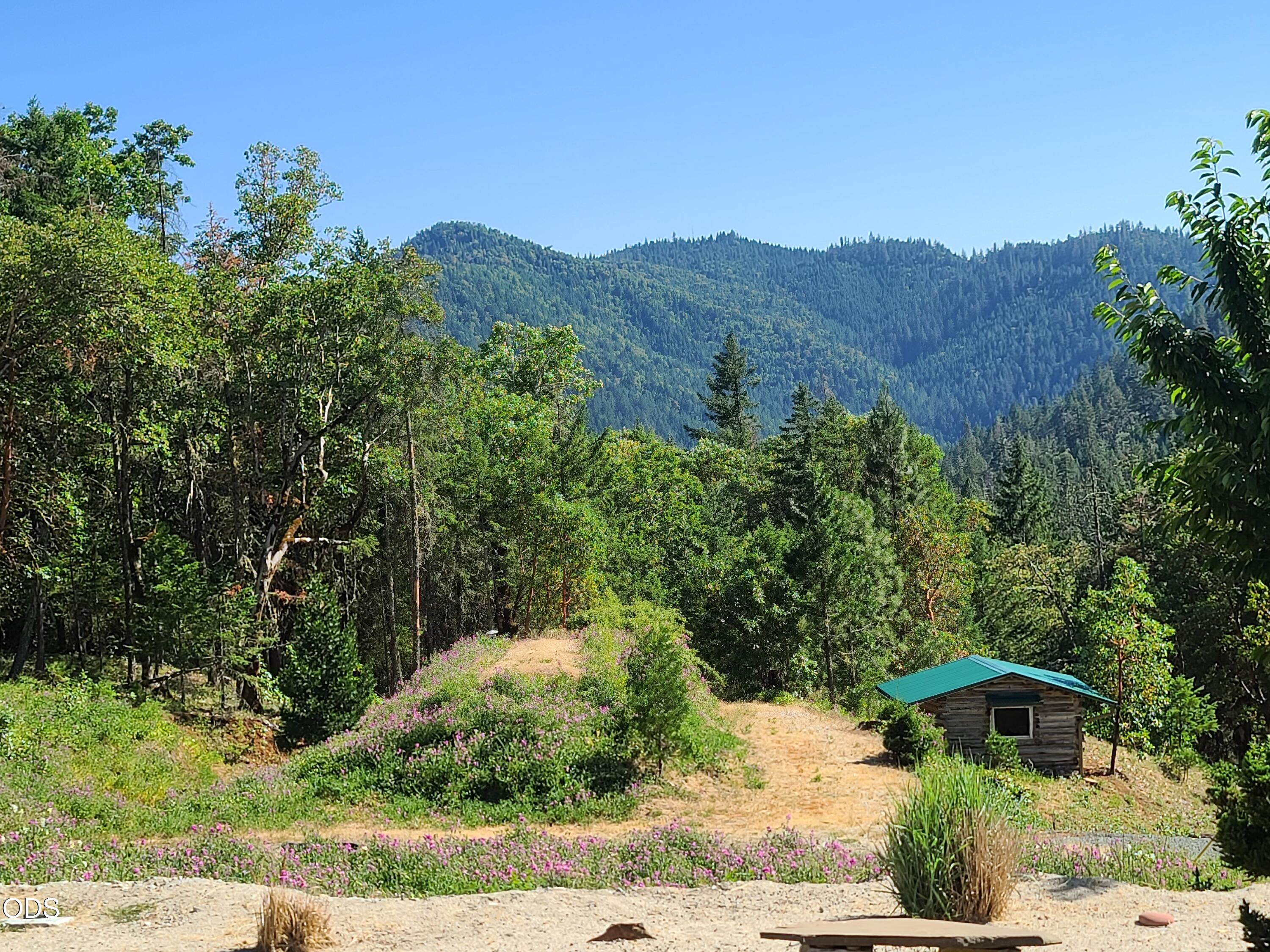 Wooded mountain property with a flower-lined path and a small rustic shed.