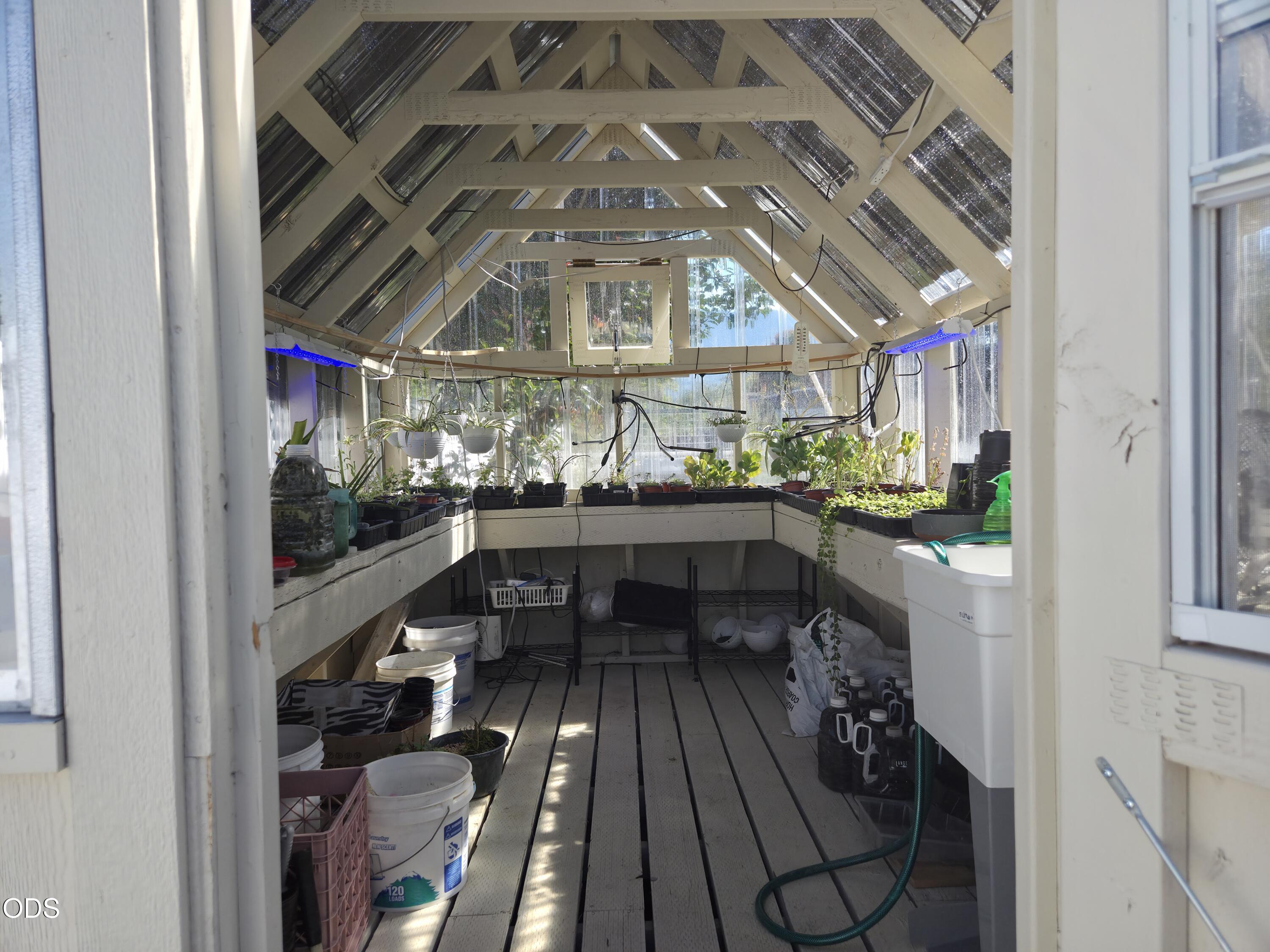 Greenhouse with a peaked, skylit roof, plant benches, grow lights, and buckets along the floor.