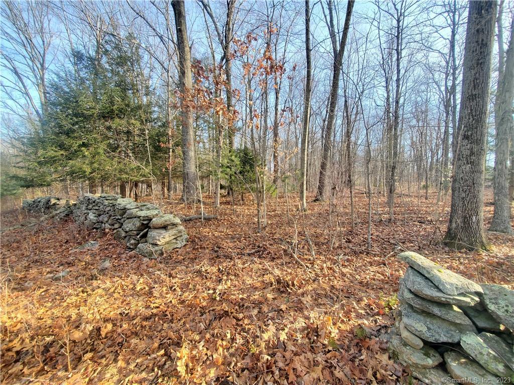 445 Goose Lane 1
