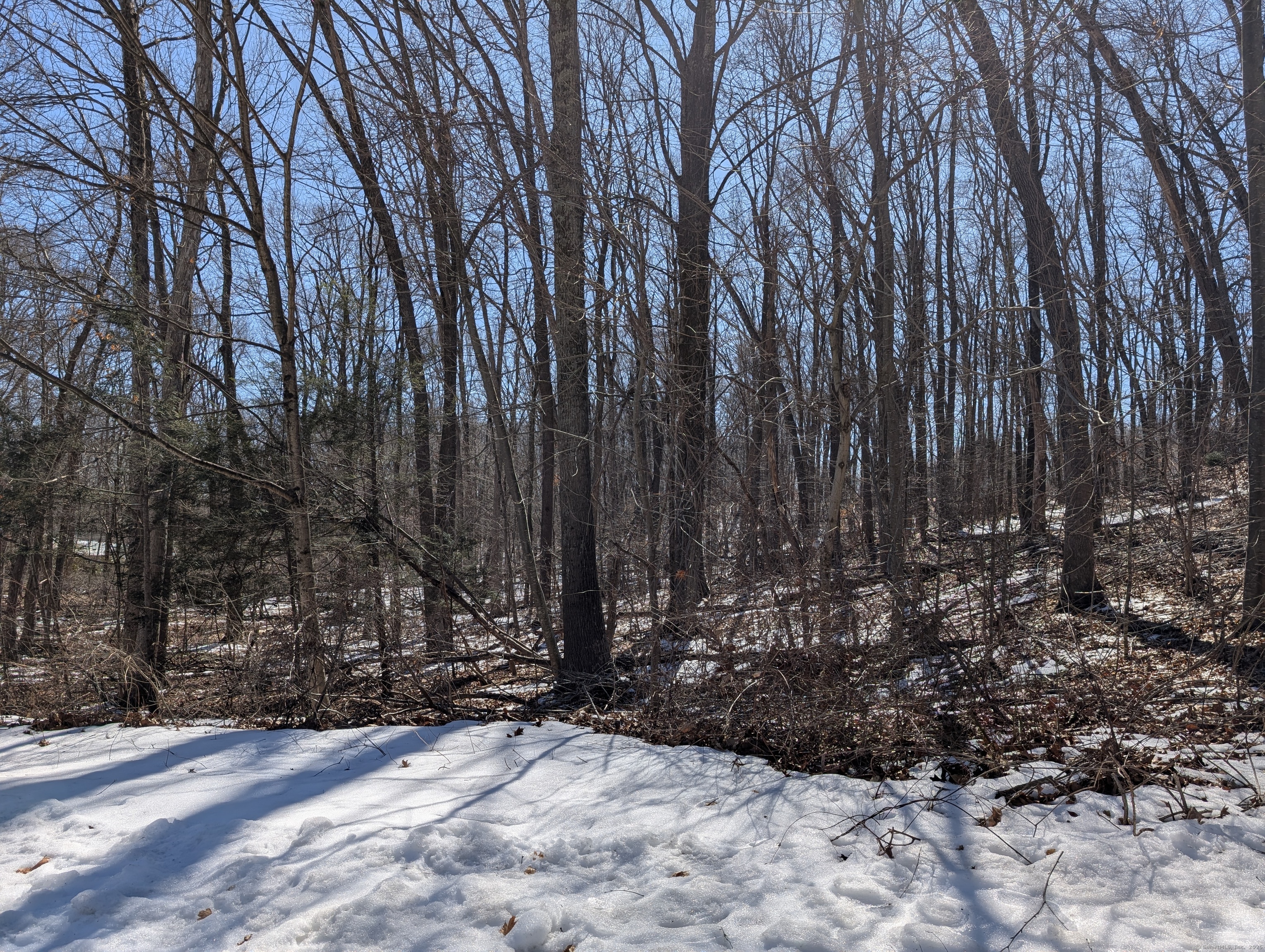 77 Timber Trail