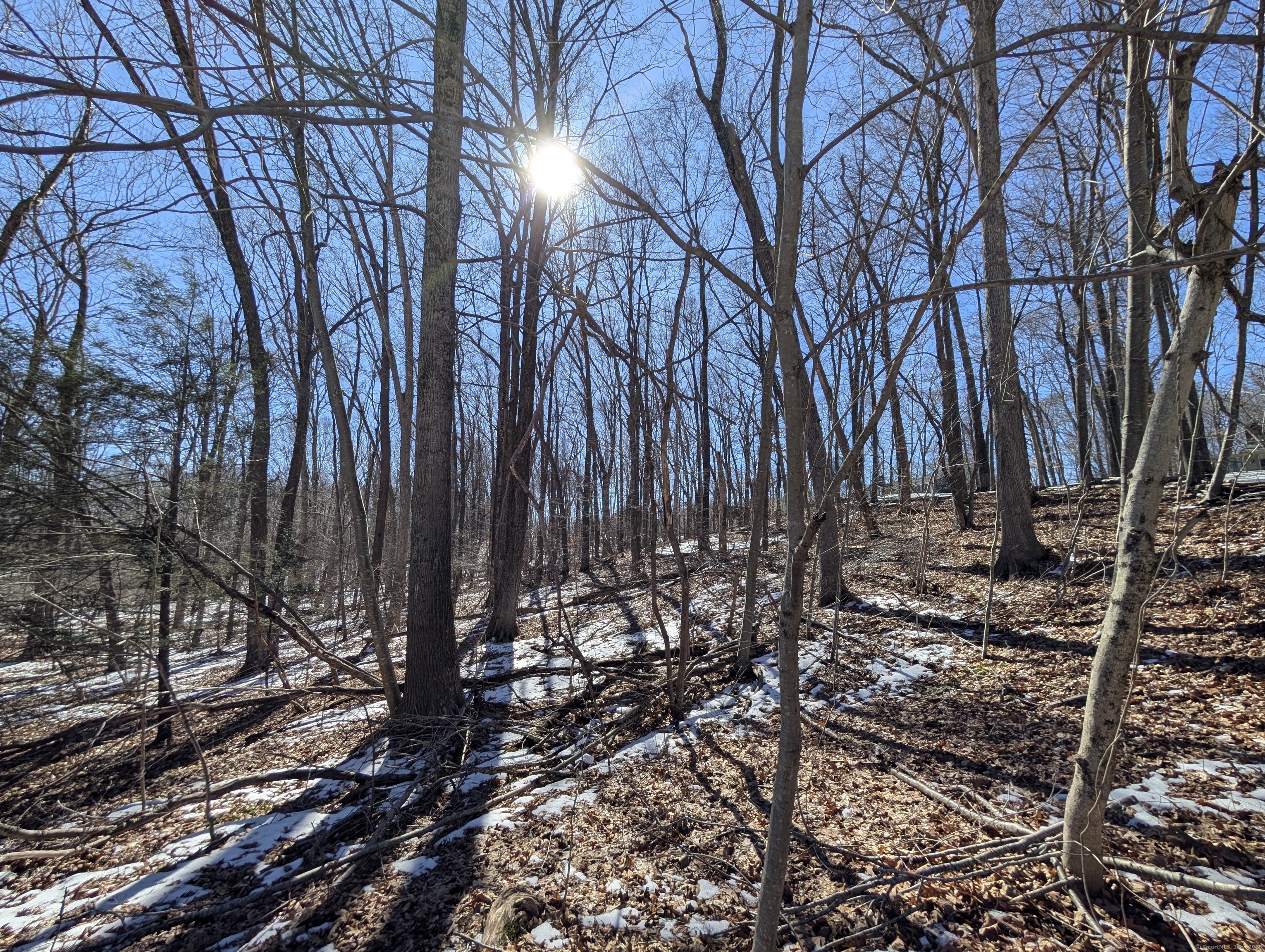 77 Timber Trail