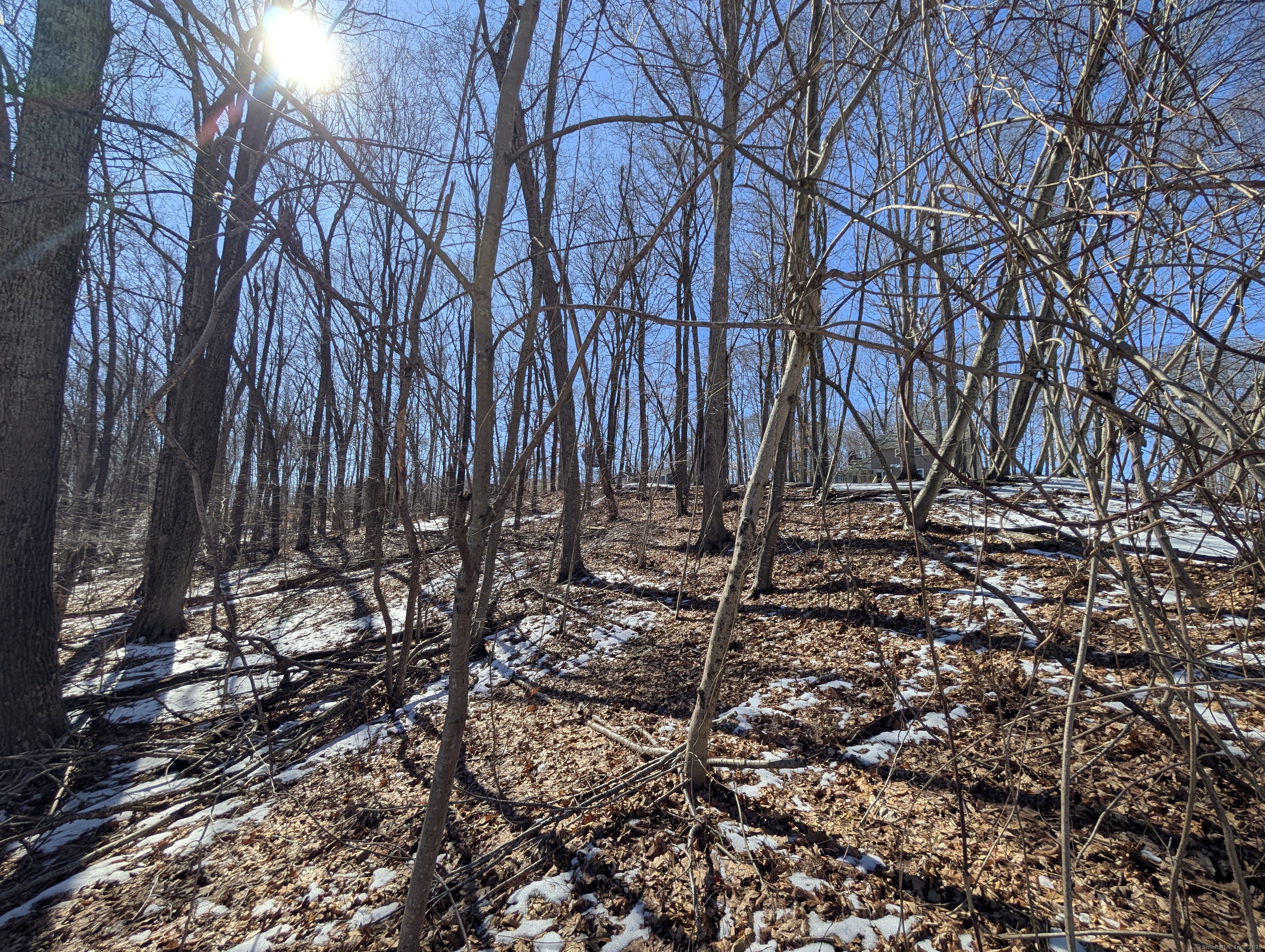 77 Timber Trail