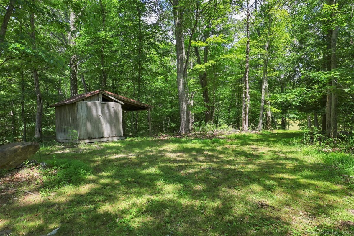 447 Woodland Road