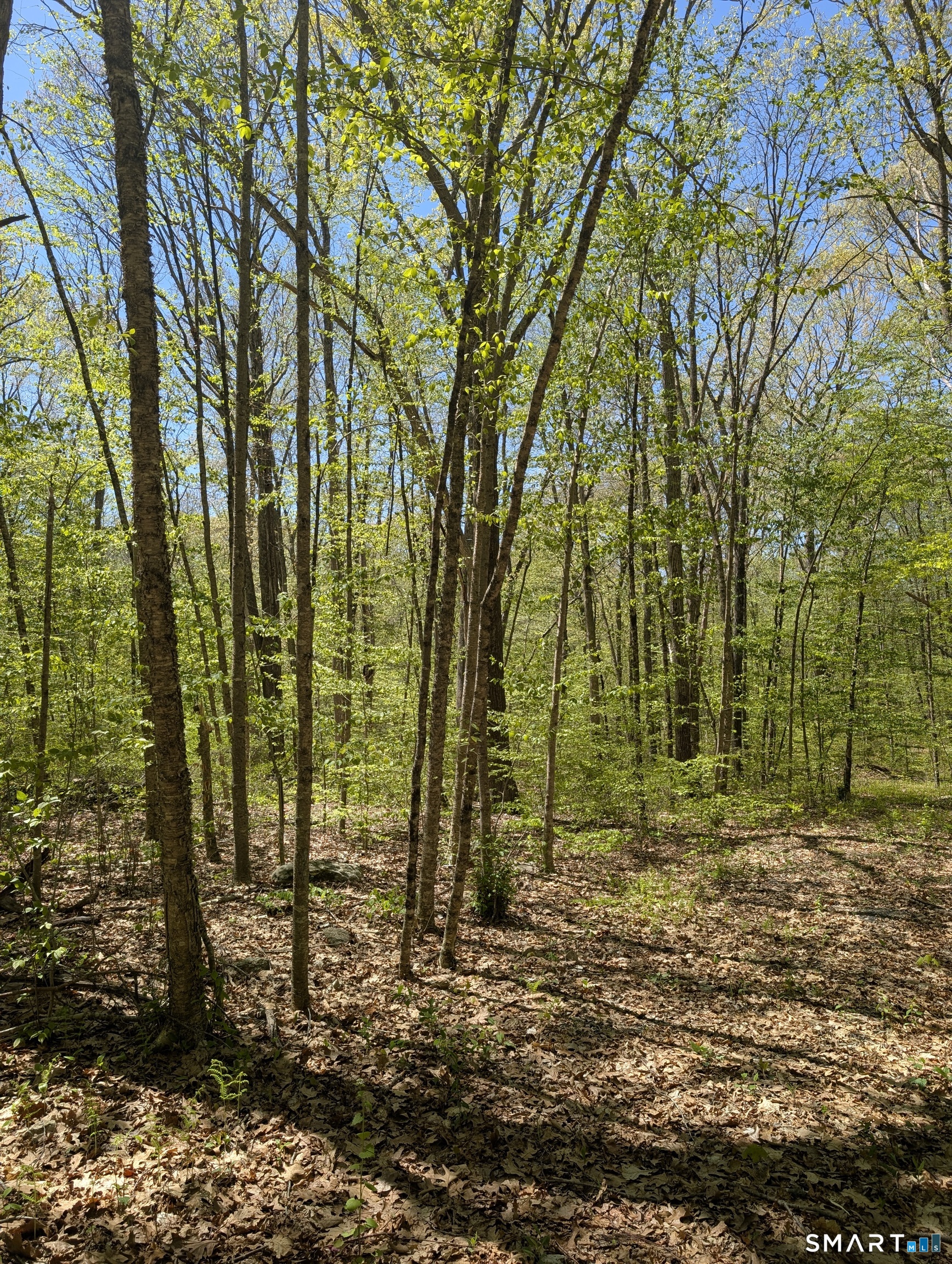Englewood Trail