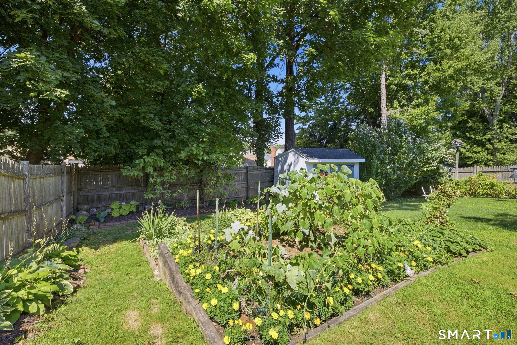 47 Willard Road