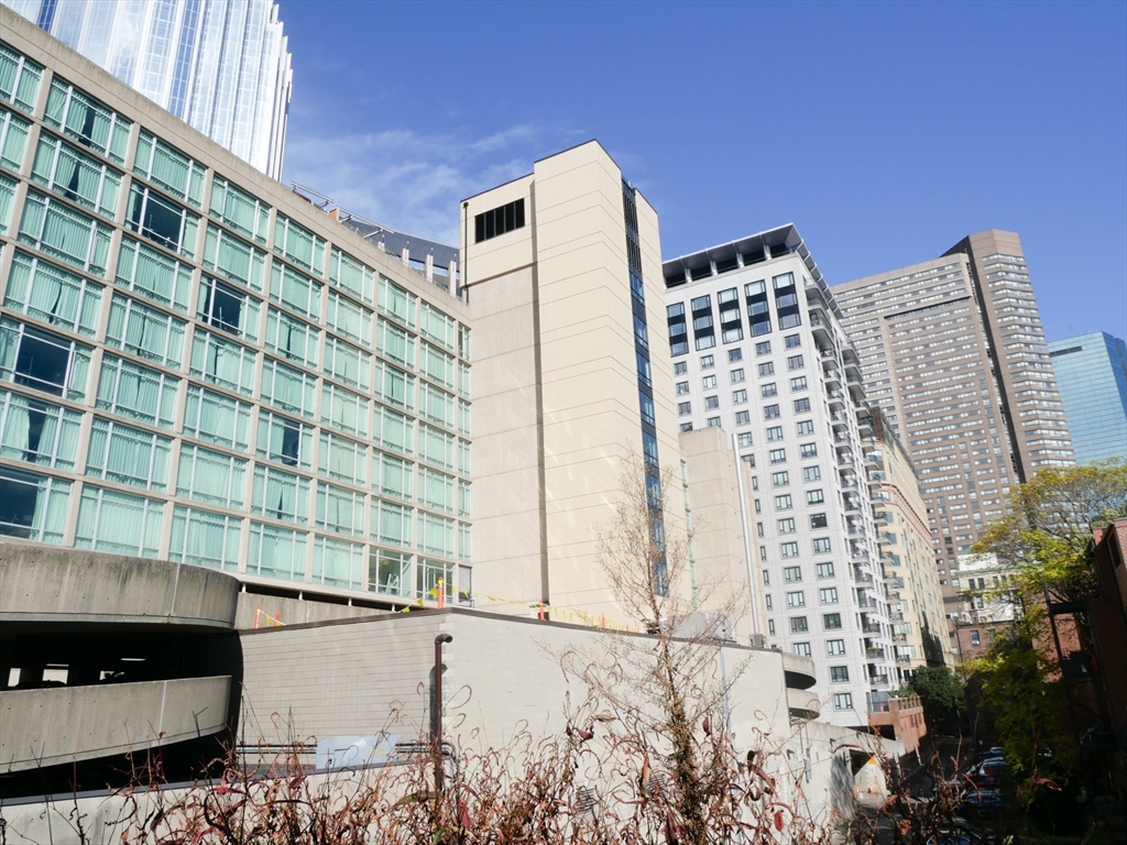 259 W Newton # 6