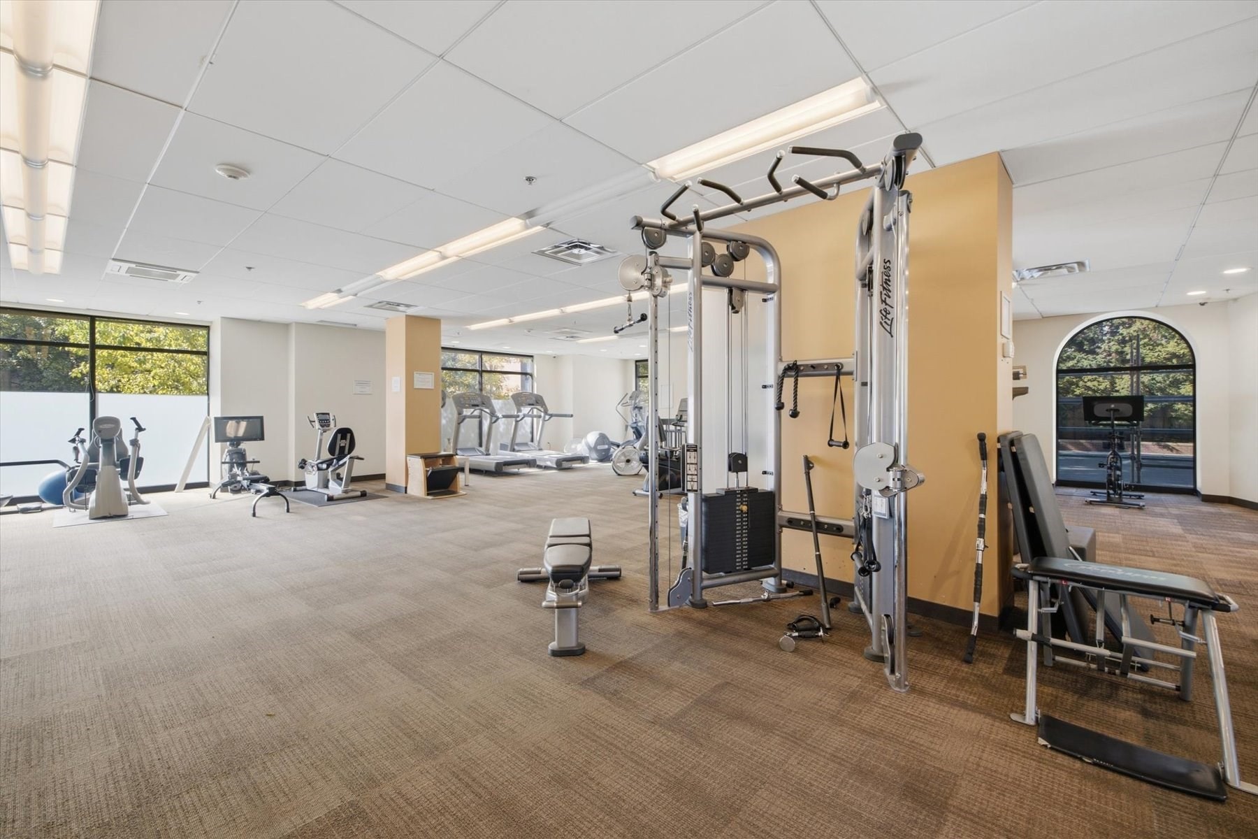 60 Longwood Ave # 1003