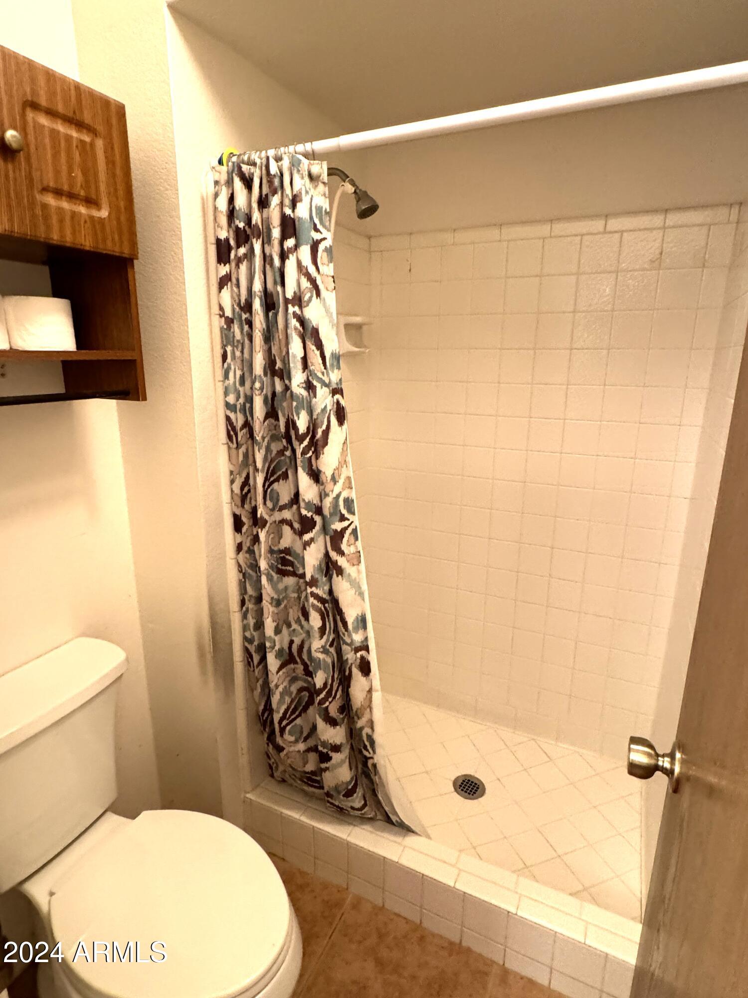 1976 N LEMON TREE Lane, 61